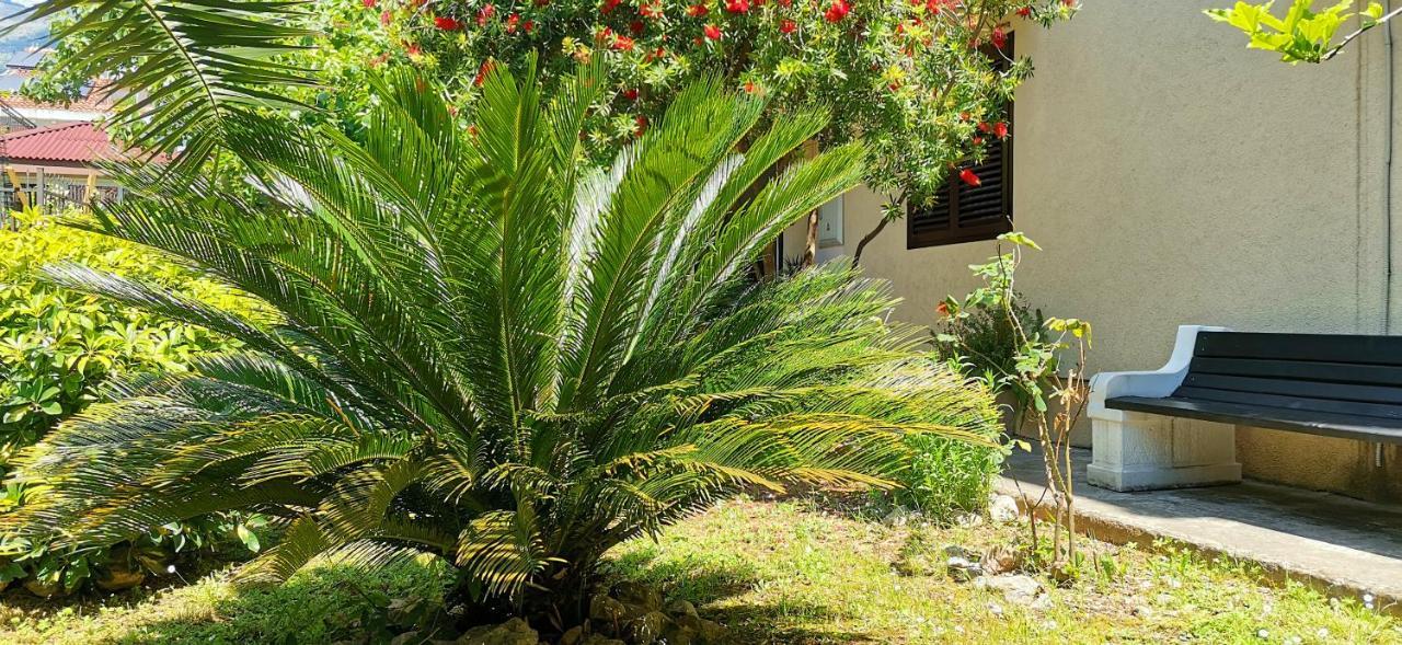 Apartments And Rooms Marija Budva Ngoại thất bức ảnh